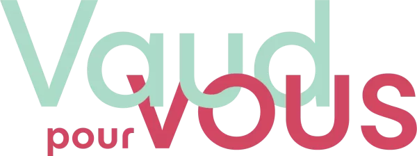 Vp V logo couleur