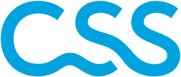 CSS logo